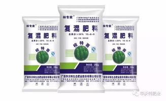 广西桉树无节材培育之路 有机肥与高收益的绿色结合
